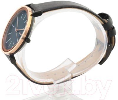 Часы наручные женские Skagen SKW2490