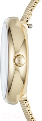 Часы наручные женские Skagen SKW2614