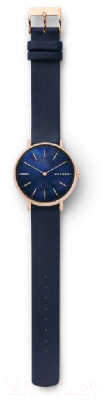 Часы наручные женские Skagen SKW2731