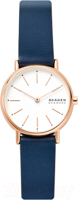 Часы наручные женские Skagen SKW2838