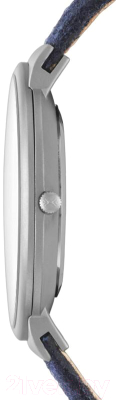 Часы наручные мужские Skagen SKW6098