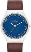 

Часы наручные мужские Skagen, SKW6112