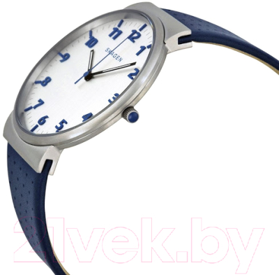 Часы наручные мужские Skagen SKW6162