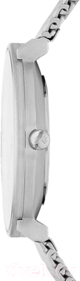 Часы наручные мужские Skagen SKW6187