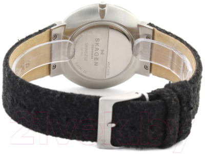 Часы наручные мужские Skagen SKW6232