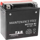Миниатюра изображения товара Мотоаккумулятор TAB YTX14-BS / 115515 (12 А/ч)