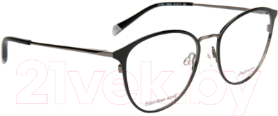 Оправа для очков Ana Hickmann Eyewear HI1081-09AS