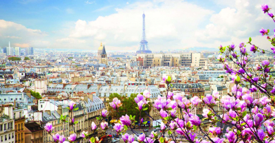 Фотообои листовые Vimala Крыши Парижа (130x250, песок)