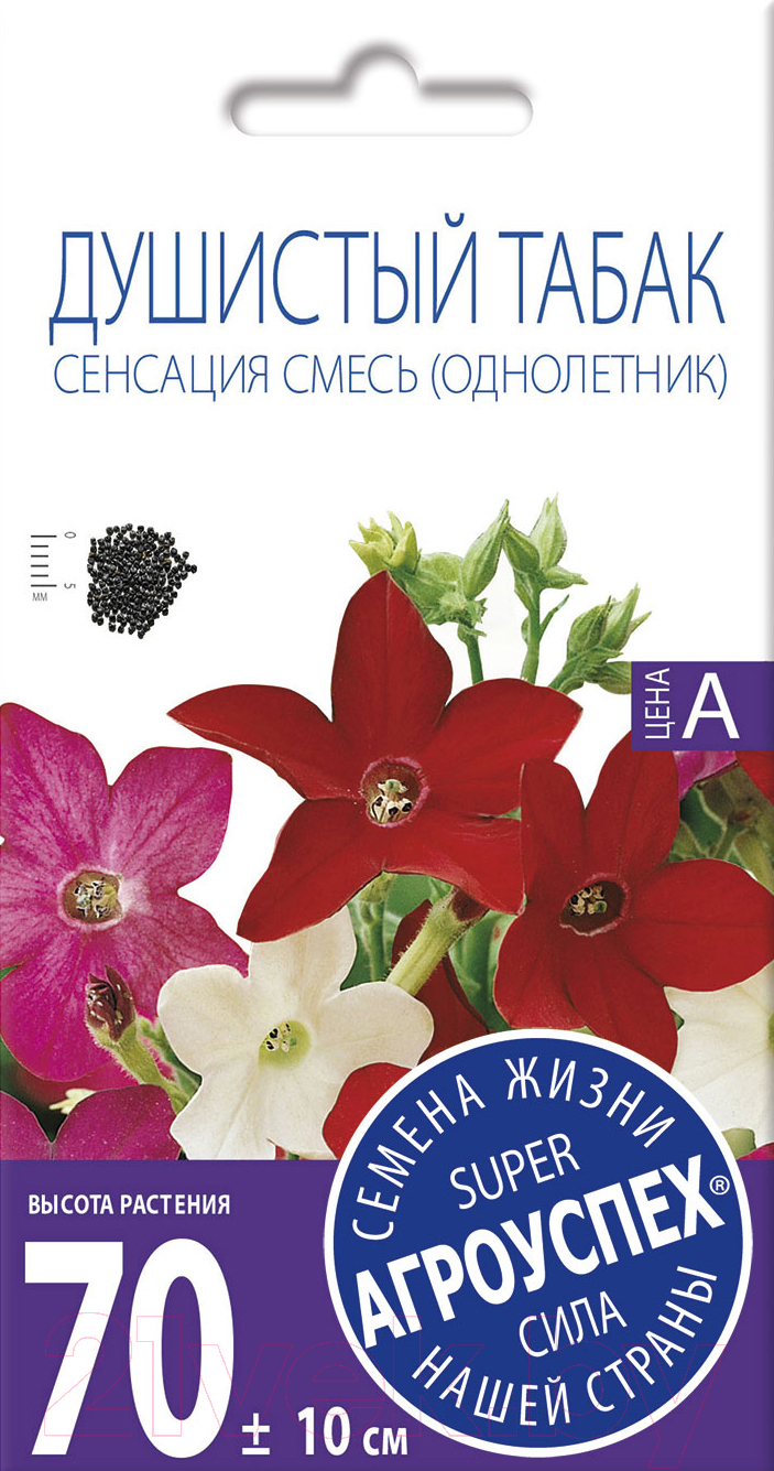 Агро успех Душистый табак сенсация смесь 0.1г Семена цветов купить в  Минске, Гомеле, Витебске, Могилеве, Бресте, Гродно