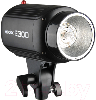 Вспышка студийная Godox E300 / 26277