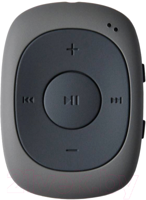 

MP3-плеер Digma, C2LG 4Gb / 367272
