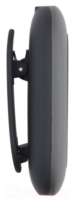 Изображение товара MP3-плеер Digma C2LG 4Gb / 367272 (серый)