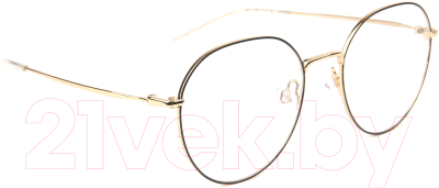 Оправа для очков Ana Hickmann Eyewear HI1091-09B