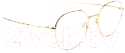 Оправа для очков Ana Hickmann Eyewear HI1091-04A