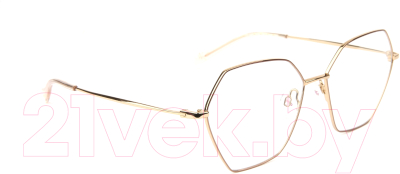 Оправа для очков Ana Hickmann Eyewear HI1099-01A