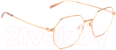 Оправа для очков Ana Hickmann Eyewear HI1100-05B