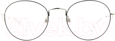 Оправа для очков Ana Hickmann Eyewear HI1102-05A