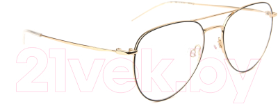 Оправа для очков Ana Hickmann Eyewear HI1104-09A