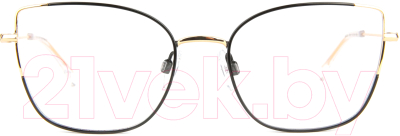 Оправа для очков Ana Hickmann Eyewear HI1121-05B