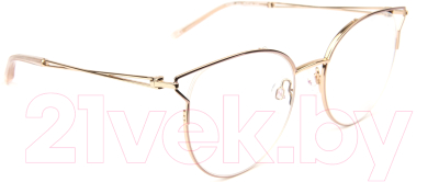 

Оправа для очков Ana Hickmann, Eyewear HI1097-01A