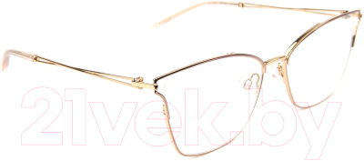 

Оправа для очков Ana Hickmann, Eyewear HI1098-01A