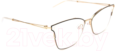 

Оправа для очков Ana Hickmann, Eyewear HI1098-09A