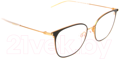 

Оправа для очков Ana Hickmann, Eyewear HI1110-09A