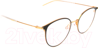 

Оправа для очков Ana Hickmann, Eyewear HI1125-09A