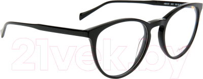 Оправа для очков Ana Hickmann Eyewear HI6137-A01