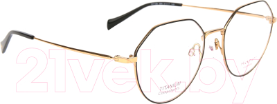 

Оправа для очков Ana Hickmann, Eyewear HI1129-09A