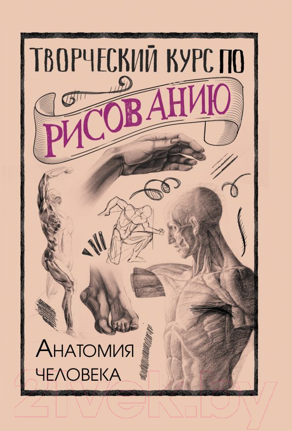 Нехудожественная книга АСТ Творческий курс по рисованию. Анатомия человека (Грей М.)