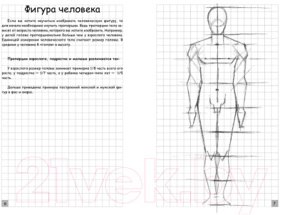 Книга АСТ Творческий курс по рисованию. Анатомия человека (Грей М.)