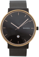 Часы наручные мужские Skagen SKW6296 - 