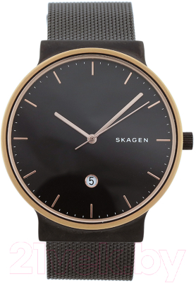 Часы наручные мужские Skagen SKW6296