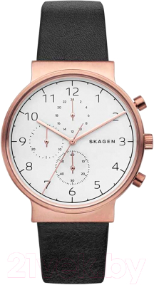 Часы наручные мужские Skagen SKW6371