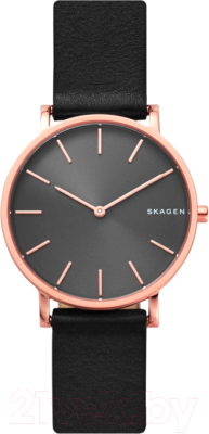 Часы наручные мужские Skagen SKW6447