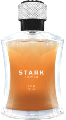 Туалетная вода Dilis Parfum Stark Power for Man (100мл)
