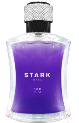 Туалетная вода Dilis Parfum Stark Will for Man (100мл)
