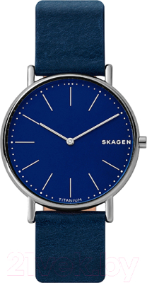 

Часы наручные мужские Skagen, SKW6481