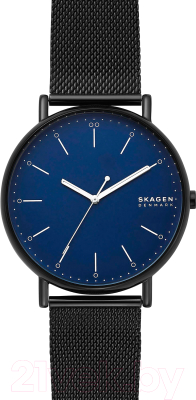 

Часы наручные мужские Skagen, SKW6529