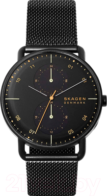 Часы наручные мужские Skagen SKW6538