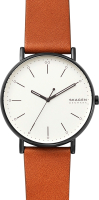

Часы наручные мужские Skagen, SKW6550