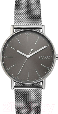 Часы наручные мужские Skagen SKW6577