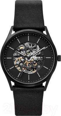

Часы наручные мужские Skagen, SKW6580