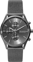 Часы наручные мужские Skagen SKW6608 - 