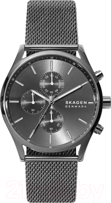 Часы наручные мужские Skagen SKW6608