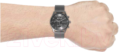 Часы наручные мужские Skagen SKW6608