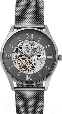 

Часы наручные мужские Skagen, SKW6614
