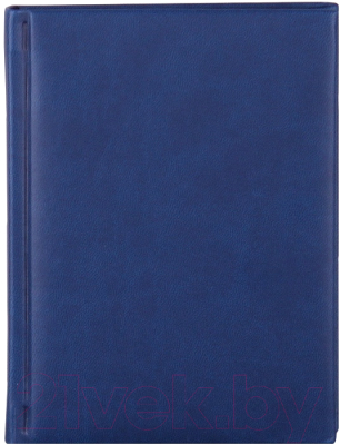 

Ежедневник Проф-Пресс, Глосс / 128-3170