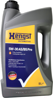 Моторное масло Hengst 5W30 A5/B5 Pro / 1041800000 (5л)